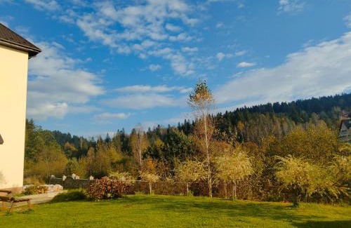Skhidnytsya Hotel | Pet-Friendly Retreat at Рудий Лис – Guest Rated 9.8!