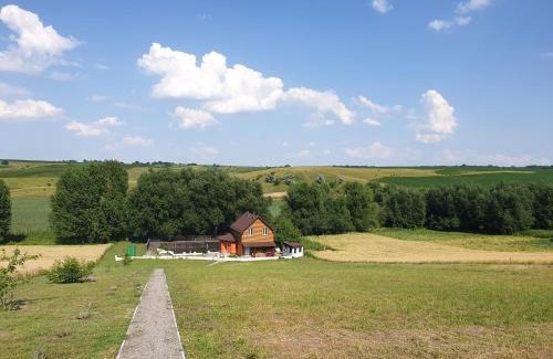 Salikha Cabin | Experience Tranquility at Садиба "Банька у джерела"