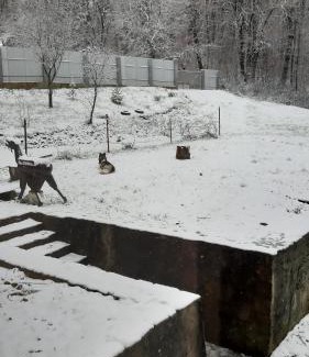 Perechin Villa | Pet-Friendly Retreat at Садиба в Бабаєво – Rated 9.3/10