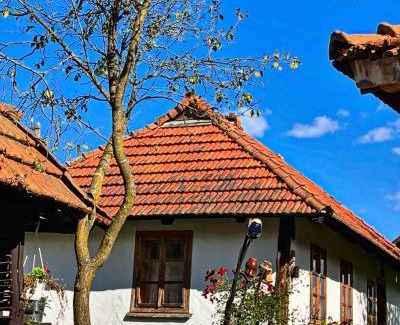 Vyzhnytsya House | Guest Rated 9.8: Садиба Гардига - Family & Pet Friendly