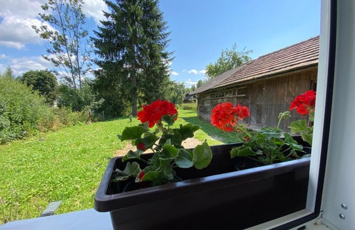 Urych House | Discover Садиба Злата хата: Pet-Friendly & Family Welcoming