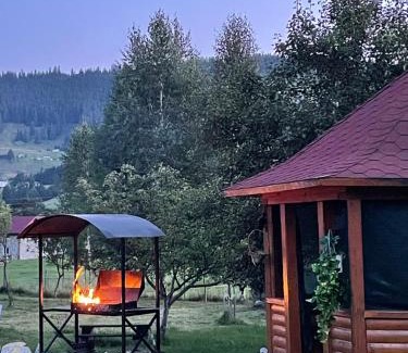 Verkhovyna Apartment | Experience Satisfying Stays at Садиба Карпат with Pool & Hot Tub