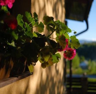 Pidhorodtsi Ski Chalet | Discover Садиба Лісова: Guest Rated 9.9 & Pet Friendly