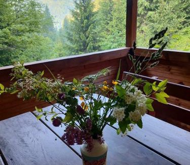 Snidavka House | Explore Садиба На скелі: Guest Rated 9.9 with Pool & Pets