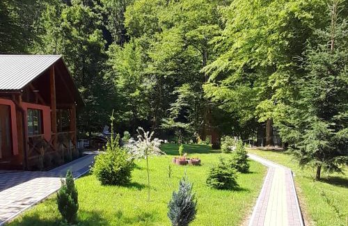 Transcarpathia House | Experience Family-Friendly Comfort at Садиба Срібний Вовк