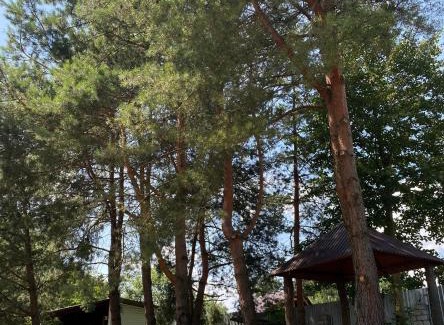 Volyn Oblast House | Charming Stay at Садиба у Дяді Міши with Ocean Views