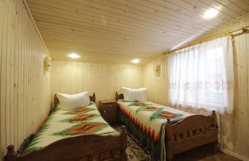 Snidavka Apartment | Садиба 'У Марії'
