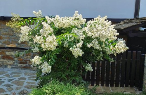 Slivek House | Family Hotel Chardakite: 10/10 Rated with Hot Tub & Kitchen