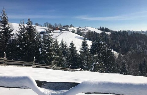 Snidavka House | Heart of the Carpathians: Affordable Stay with Kitchen Access