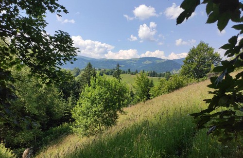 Snidavka House | Heart of the Carpathians: Affordable Stay with Kitchen Access
