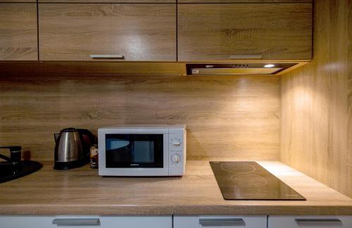 Babushkins'kyi district Apartment | Smart Studio on Gagarin Street Near the Botanical Garden