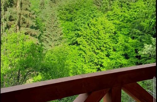 Yasinya House | Family-Friendly Retreat at Смерекова хата Awaits You