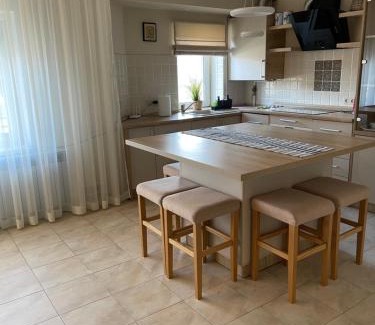 Transcarpathia Apartment | Family-Friendly Retreat in Сонячне Закарпаття - 10/10 Rating