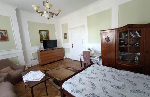 Uzhhorod Apartment | Historic City Center Apartments with Outstanding 9.4 Rating