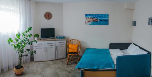 Uzhhorod Apartment | Stylish & Cozy SILENA Apartment Studio – Rated 9.7/10