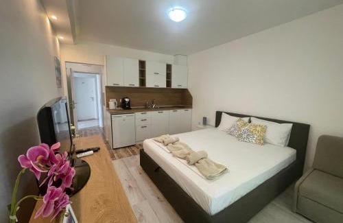 Lozenets Apartment | Beachfront Studio Simona 3 with Ocean View & Pool