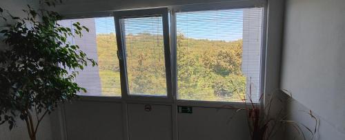 Malko Tarnovo Apartment | Family-Friendly Studio Strandja in Gramatikovo, Rated 9.6