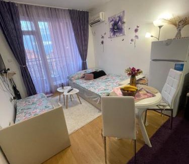 Tankovo Apartment | Sunny Day 6 Studio: Pet-Friendly with Ocean Views