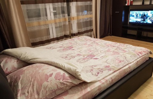 Ivanovo Apartment | Pet-Friendly Studio on Moscow Street with Top Guest Ratings