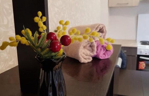 Ivanovo Apartment | Pet-Friendly Studio on Moscow Street with Top Guest Ratings