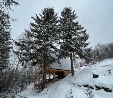 Yaremche House | Pet-Friendly Схованка with Ocean Views and Pool Access
