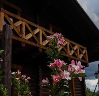 Dubyna Ski Chalet | Discover Cottage "Ksenija": Family-Friendly Retreat with Pool