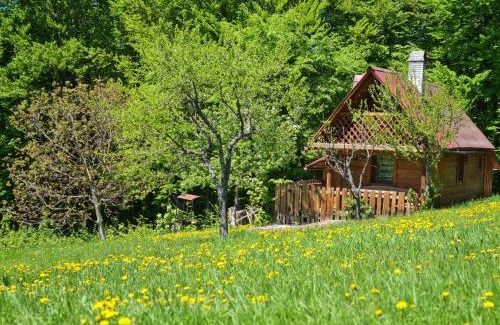 Rakhiv House | Experience Comfort at Трембіта - Pet Friendly & Hot Tub