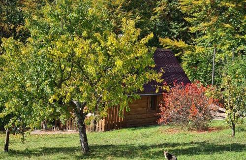 Rakhiv House | Experience Comfort at Трембіта - Pet Friendly & Hot Tub