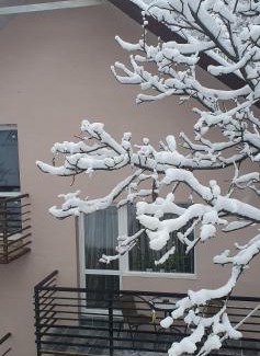 Yaremche Apartment | Discover Три горішки: Pet & Child-Friendly Getaway