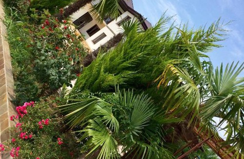 Gantiadi House | Cozy УЮТ: Pet-Friendly Stay with Breakfast Included