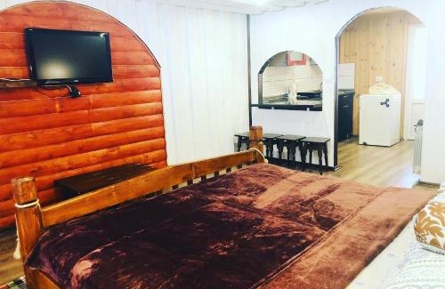 Soymy Apartment | Family-Friendly Comfort at У Віти номер 4 - Rated 9.4/10