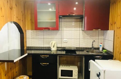 Soymy Apartment | Family-Friendly Comfort at У Віти номер 4 - Rated 9.4/10