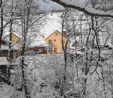Podobovets House | Discover У ДЯДЬКА: Guest Rated 9.6 with Pet-Friendly Perks