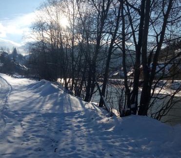 Yasinia House | Discover У Наталії: Family-Friendly Retreat with Kitchen