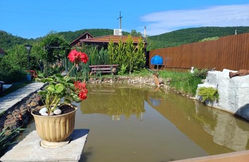 Chynadievo House | Enchanting Stay at У Фёдера и Маргариты with Ocean Views