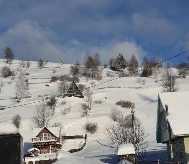 Synevyrska Polyana House | Family-Friendly Retreat at Файна хата - 10/10 Rated Stay