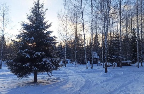 Myatlevo House | Charming Forest Retreat at Ферма в лесу "Хутор Дубки"