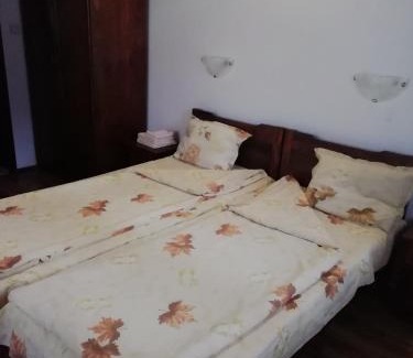 Ribaritsa Hotel | Family-Friendly Stay at ХАН КОСТИНА - HAN KOSTINA