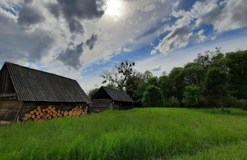 Brest Region House | Eco-Friendly Retreat: Хата на болоте в пуще
