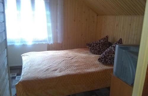 Yablunytsya Apartment | Cozy Mountain Retreat with Pet-Friendly Amenities