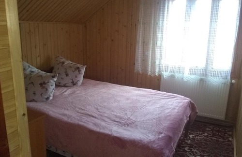Yablunytsya Apartment | Cozy Mountain Retreat with Pet-Friendly Amenities