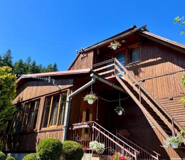 Skole Cabin | Cozy Retreat at Хвиля Гір - Ideal for Families and Pets
