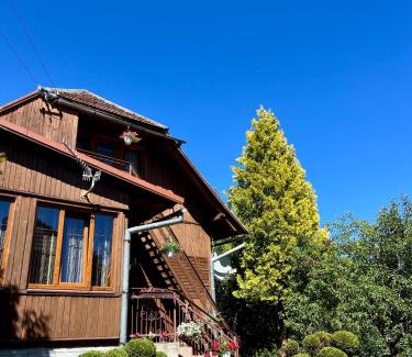 Skole Cabin | Cozy Retreat at Хвиля Гір - Ideal for Families and Pets