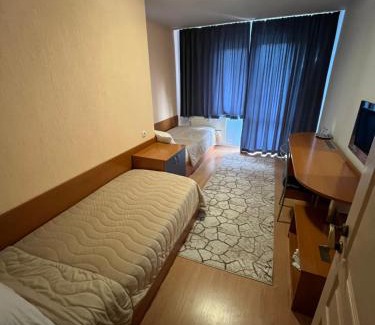 Dospat Hotel | Discover Hotel ПАНОРАМА ДОСПАТ: Pet-Friendly Retreat