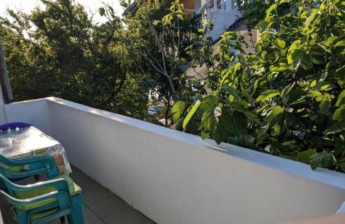 Sinemoretz House | Pet-Friendly Colors Hotel with Great 8.3/10 Guest Ratings