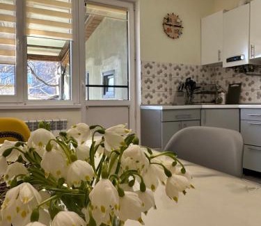 Soymy House | Unforgettable Stay at Чотири стихії - Rated 10/10!