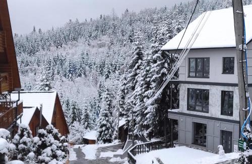 Myhove Cabin | Experience Hospitality at Шаленарозі: Rated 9.7/10