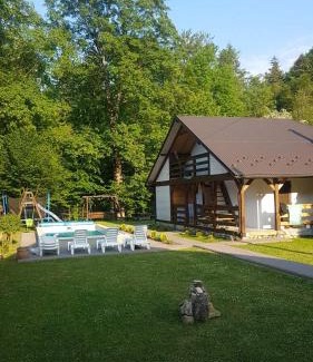 Vyzhnytsya House | Experience Tranquility at Шале "Тиша" - Pet & Child Friendly