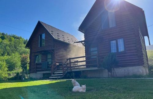 Rakhiv House | Experience ШОВКОВА КОСИЦЯ: Pet-Friendly Retreat with Breakfast