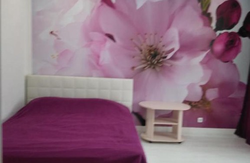 Rodina Apartment | Discover Юлица Владимирская near the Aquapark